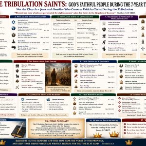 Revelation Tribulation saints prophecy chart showing the great multitude, Antichrist persecution, refusal of the mark, first resurrection, and millennial reign.