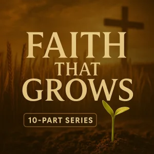 Faith That Grows 10-part devotional series image showing a growing seedling under light, symbolizing spiritual growth and rooted faith in Christ.